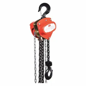 DAYTON 1VW58 Manual Chain Hoist 4000 Lb. Lift 10 Feet | AB3XQZ