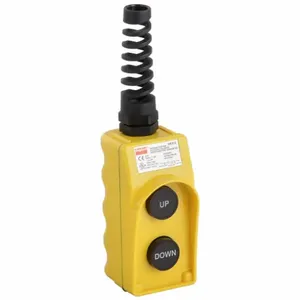 DAYTON 20C812 Pendant Station 2no Poly | AB4QMX