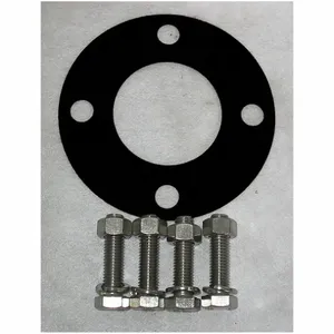 DAYTON 20Y789 Grinder Pump Guide Rail Gasket Kit | AB6BZA