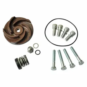 DAYTON 21TG36 Pump Repair Kit For 2zwn9a | AB6JDP