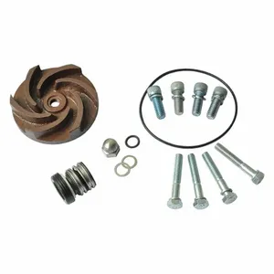 DAYTON 21TG37 Pump Repair Kit For 2zwp1a 2zwp2a | AB6JDQ