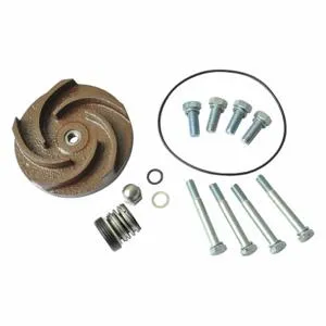 DAYTON 21TG43 Pump Repair Kit For 2zwp7a 2zwp8a | AB6JDU