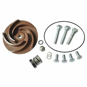 DAYTON 21TG45 Pump Repair Kit For 2zwp9a 2zwr1a | AB6JDV