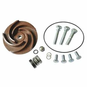 DAYTON 21TG47 Pump Repair Kit For 2zwr2a 2zwr3a | AB6JDW