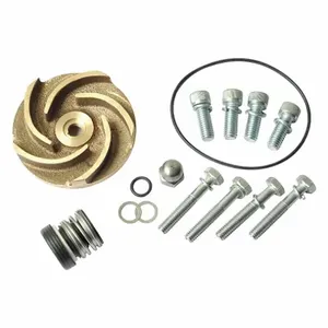 DAYTON 21TG49 Pump Repair Kit For 2zwr4a | AB6JDX