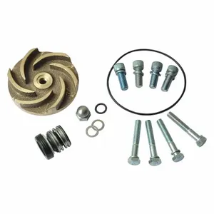 DAYTON 21TG50 Pump Repair Kit For 2zwr5a 2zwr6a | AB6JDY