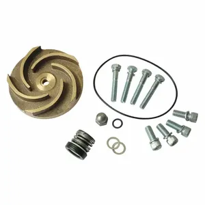 DAYTON 21TG54 Pump Repair Kit For 2zwr9a 2zwt1a | AB6JEA