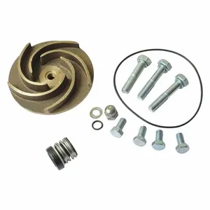 DAYTON 21TG58 Pump Repair Kit For 2zwt4a 2zwt5a | AB6JEC