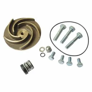 DAYTON 21TG60 Pump Repair Kit For 2zwt6a 2zwt7a | AB6JED