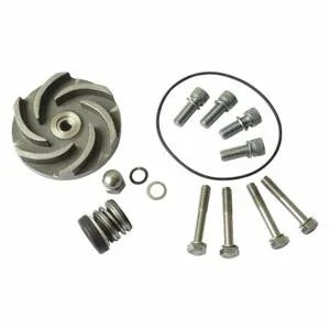 DAYTON 21TG63 Pump Repair Kit For AC4HND AC4HNE | AB6JEF