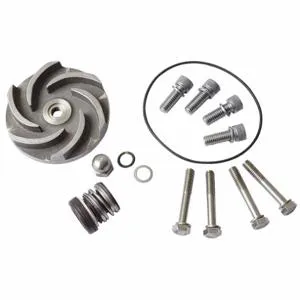 DAYTON 21TG65 Pump Repair Kit For AC4HNF AC4HNG | AB6JEG