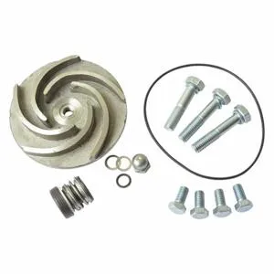 DAYTON 21TG71 Pump Repair Kit For AC4HNM AC4HNN | AB6JEK