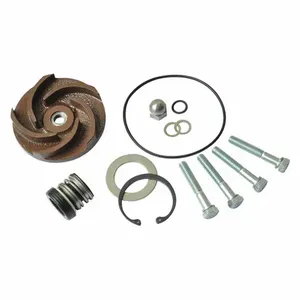 DAYTON 21TG75 Pump Repair Kit For 2zwx3a | AB6JEM