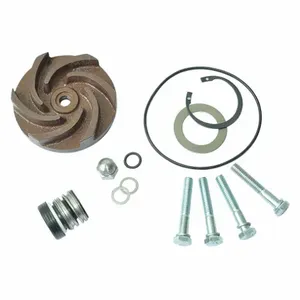 DAYTON 21TG76 Pump Repair Kit For 2zwx4a | AB6JEN