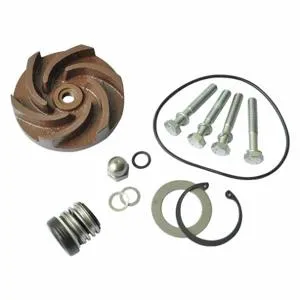 DAYTON 21TG77 Pump Repair Kit For 2zwx5a | AB6JEP