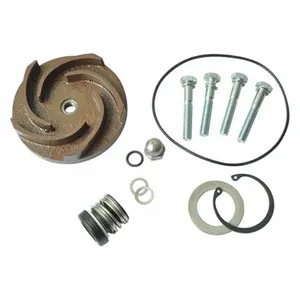 DAYTON 21TG78 Pump Repair Kit For 2zwx6a | AB6JEQ