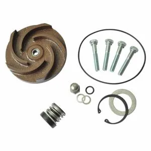 DAYTON 21TG79 Pump Repair Kit For 2zwx7a | AB6JER