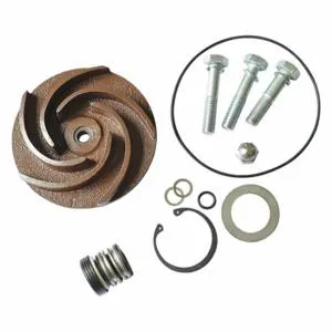 DAYTON 21TG80 Pump Repair Kit For 2zwx8a | AB6JET