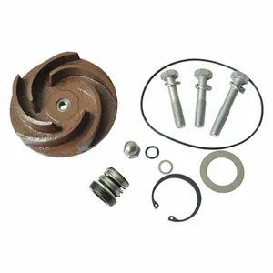 DAYTON 21TG81 Pump Repair Kit For 2zwx9a | AB6JEU