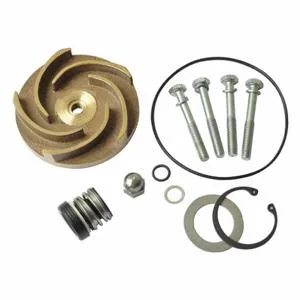 DAYTON 21TG82 Pump Repair Kit For 2zwy1a | AB6JEV