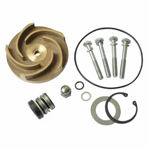 DAYTON 21TG85 Pump Repair Kit For 2zwy4a | AB6JEY