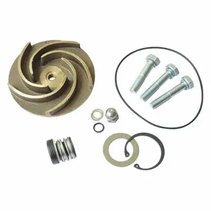 DAYTON 21TG87 Pump Repair Kit For 2zwy6a | AB6JFA