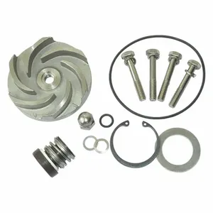 DAYTON 21TG90 Pump Repair Kit For 2zwy9a | AB6JFD