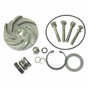 DAYTON 21TG93 Pump Repair Kit For 2zwz3a | AB6JFG