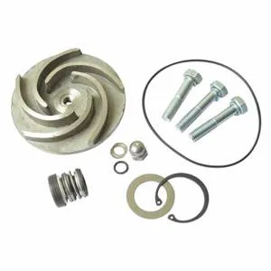 DAYTON 21TG94 Pump Repair Kit For 2zwz4a | AB6JFH