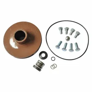 DAYTON 21TH13 Pump Repair Kit For AC4HQN AC4HQP | AB6JFR