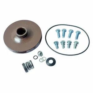 DAYTON 21TH15 Pump Repair Kit For AC4HQC AC4HQD | AB6JFT