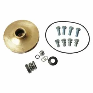 DAYTON 21TH34 Pump Repair Kit For AC4HRF AC4HRG | AB6JGB