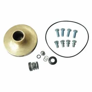 DAYTON 21TH39 Pump Repair Kit For AC4HRP AC4HRQ | AB6JGD