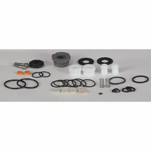 DAYTON 22A610 Pump Repair Kit Buna N Air 11/16 Inch | AB6QJL