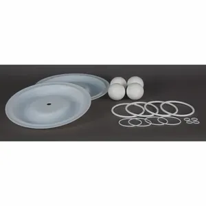 DAYTON 22A615 Pump Repair Kit Ptfe Fluid 1 In | AB6QJR