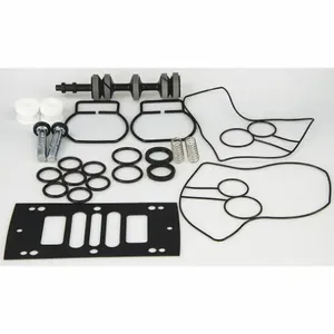 DAYTON 22A618 Pump Repair Kit Buna N Air 1 Inch | AB6QJV