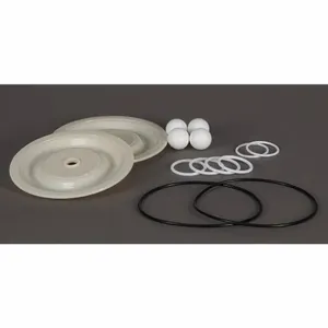 DAYTON 22A622 Pump Repair Kit Hytrel/ptfe Fluid | AB6QJZ