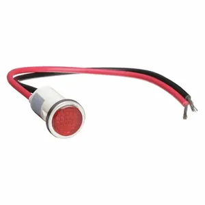 DAYTON 22NY44 Flush Indicator Light Red 24v | AB6XBP