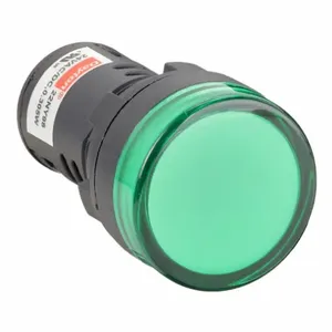 DAYTON 22NY98 Raised Indicator Light 22mm 24v Green | AB6XDY