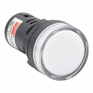 DAYTON 22NY99 Raised Indicator Light 22mm 24v White | AB6XDZ