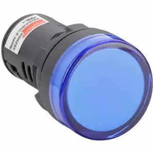 DAYTON 22NZ02 Raised Indicator Light 22mm 24v Blue | AB6XEB