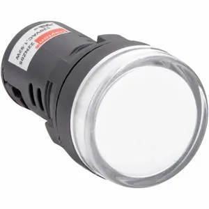 DAYTON 22NZ05 Raised Indicator Light 22mm 120v White | AB6XEE