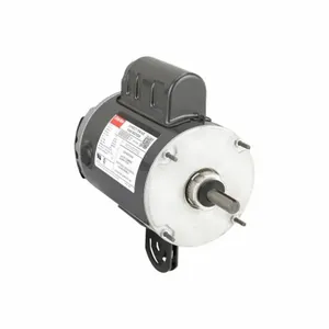 DAYTON 22YH29 Motor | CJ2ZNC