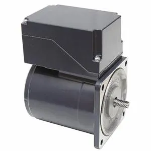 DAYTON 23L373 AC Gearmotor Component Motor, 1/30 HP, 1, 600 Nameplate RPM, 220VAC | CR2WVM