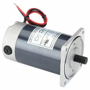 DAYTON 23L404 DC Motor PM TENV 1/8 HP 2750 rpm 12VDC | AG9YKT