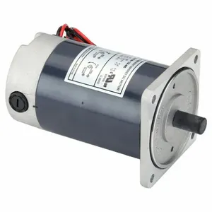 DAYTON 23L405 DC Motor PM TENV 1/8 HP 2920 rpm 24VDC | AG9YKU