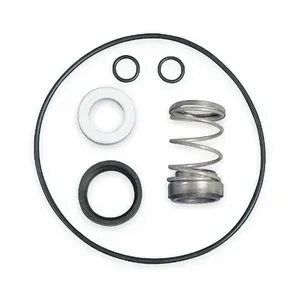 DAYTON 26KJ17 O Ring Kit, T31 Mechanical Seal | CJ2XTM