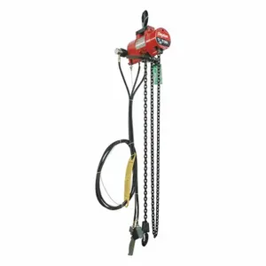 DAYTON 29XL85 Air Chain Hoist 500 Lb. Capacity 10 Feet Lift | AB8WDL