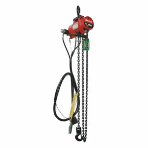 DAYTON 29XL86 Air Chain Hoist 1000 Lb. Capacity 10 Feet Lift | AB8WDM