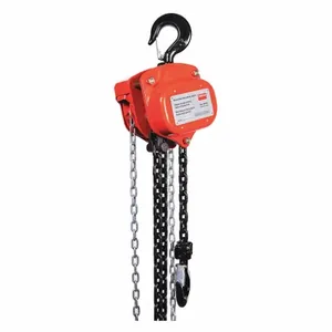 DAYTON 29XP32 Manual Chain Hoist 4000 lb Lift 20 feet | AF9EXG